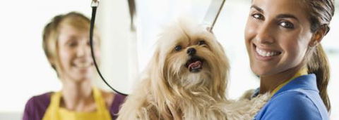 Port Stephens Pet Barn - Accommodation Brisbane 1