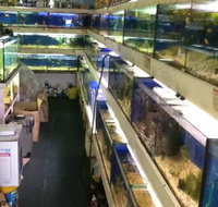 Clearwater Aquariums - Accommodation Brisbane