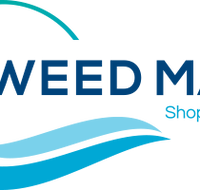 Tweed Mall - Accommodation Brisbane