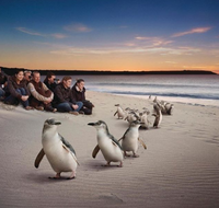 Down Under Thrills - Accommodation Brisbane