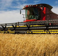 Quirindi Grain and produce - Accommodation Brisbane