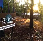 Didgeridoo Jam in the Park - Accommodation Brisbane