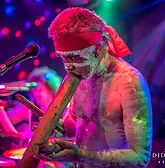 Didgeridoo Jam In The Park - Accommodation Brisbane 1