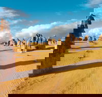 Pinnacles Desert Koalas and Sandboarding 4WD Day Tour from Perth - Accommodation Brisbane