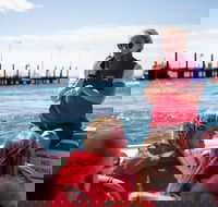 Rottnest Island Tour from Perth or Fremantle including Adventure Speed Boat Ride - Accommodation Brisbane