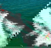 Geraldton Tubing Experience - Accommodation Brisbane