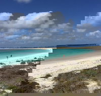 Abrolhos Island Half Day Fly and Flipper - Accommodation Brisbane