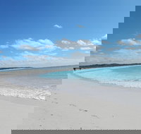 Shipwreck Special Nature Tour/Half Day Tour - Accommodation Brisbane