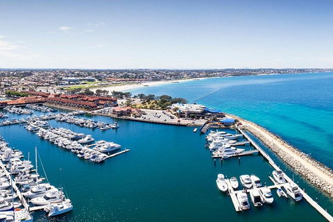 Snorkel With Sharks At AQWA - Accommodation Brisbane 7
