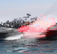 Dunsborough 30-Minute Jet Boat Ride - Accommodation Brisbane