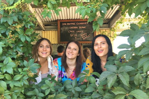 Perth River Cruise And Vineyard Experience: Best Of Both Worlds - Accommodation Brisbane 1