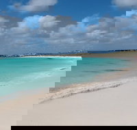 Pink Lake and Abrolhos Full Day Fly and Flipper - Accommodation Brisbane