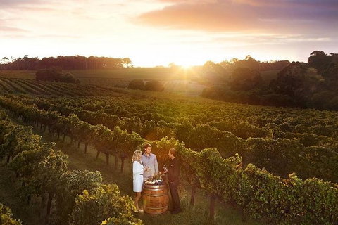 Leeuwin Estate: Food And Wine Experience - Accommodation Brisbane 0