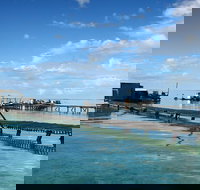 Full Day Guided Abrolhos Fly and Flipper Tour from Geraldton - Accommodation Brisbane