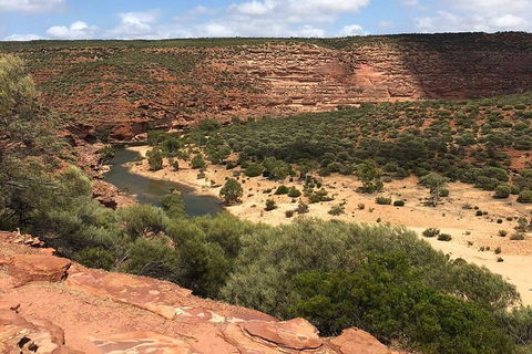 Kalbarri Gorges & West Coast - Ground & Air Tour - Accommodation Brisbane 7