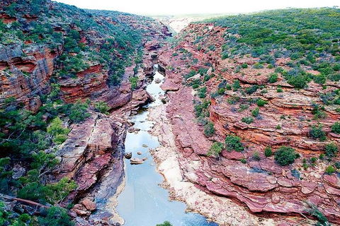 Kalbarri Gorges & West Coast - Ground & Air Tour - Accommodation Brisbane 5