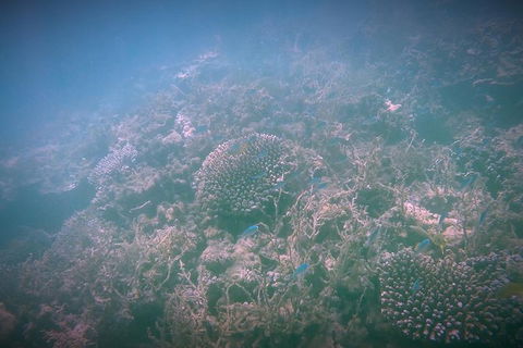 Guided Jet Ski And Snorkel Tour From Exmouth - Accommodation Brisbane 1