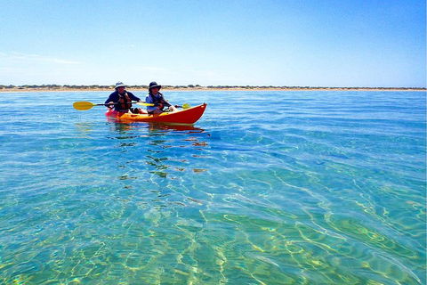 Turtle Tour - Ningaloo Reef Half Day Sea Kayak And Snorkel Tour - Accommodation Brisbane 0