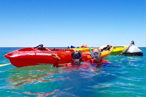 Turtle Tour - Ningaloo Reef Half Day Sea Kayak And Snorkel Tour - Accommodation Brisbane 1