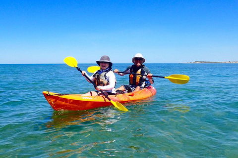 Turtle Tour - Ningaloo Reef Half Day Sea Kayak And Snorkel Tour - Accommodation Brisbane 7