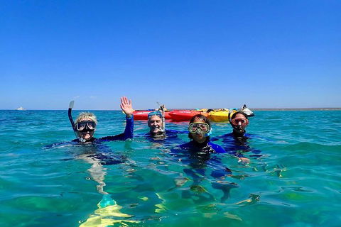 Turtle Tour - Ningaloo Reef Half Day Sea Kayak And Snorkel Tour - Accommodation Brisbane 9