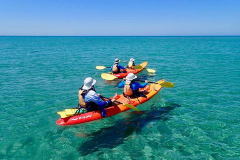 Turtle Tour - Ningaloo Reef Half Day Sea Kayak And Snorkel Tour - Accommodation Brisbane 6