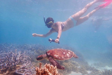 Turtle Tour - Ningaloo Reef Half Day Sea Kayak And Snorkel Tour - Accommodation Brisbane 8