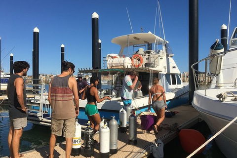 Scuba Dive Ningaloo Reef - Accommodation Brisbane 4