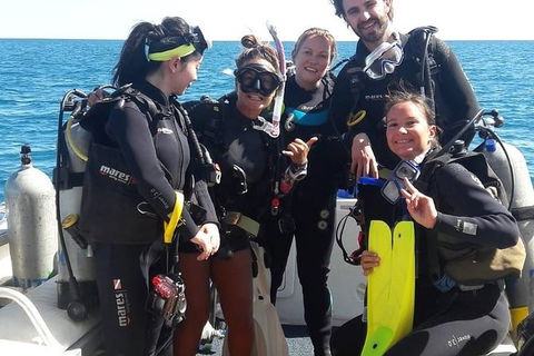 Scuba Dive Ningaloo Reef - Accommodation Brisbane 3