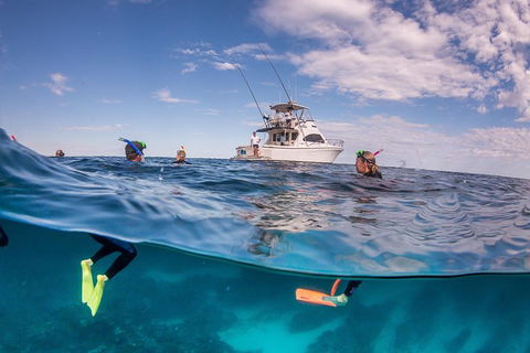 Exclusive Ningaloo Adventure Charter From Exmouth - Accommodation Brisbane 0