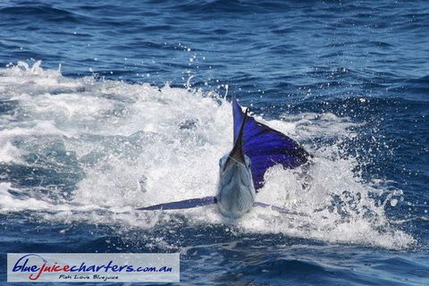 Montebello Island Fishing Charters - Accommodation Brisbane 6
