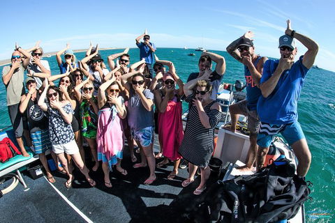 Humpback Whale Swim Ningaloo Reef - Accommodation Brisbane 6