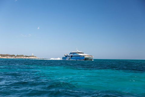 Rottnest Bike & Ferry Package From Perth - Accommodation Brisbane 1