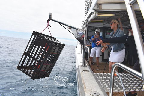 Rottnest Island Wild Seafood Package From Perth With Transfer - Accommodation Brisbane 0