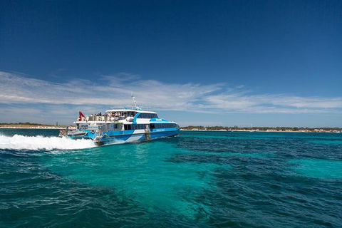 Rottnest Island Wild Seafood Package From Perth With Transfer - Accommodation Brisbane 1