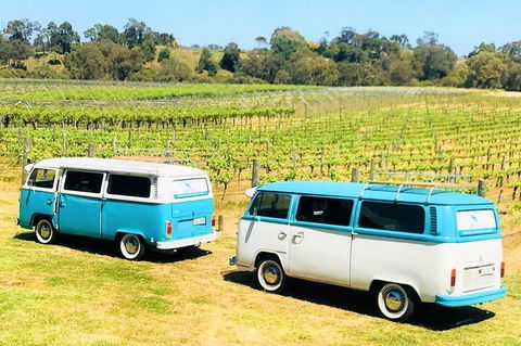 VW Kombi Wine Tour In The Swan Valley - Accommodation Brisbane 6