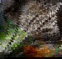 Porongurup Nature  History Eco Tour - Accommodation Brisbane