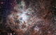 Overnight Astronomy Experience Ningaloo - Yardie Homestead - thumb 0