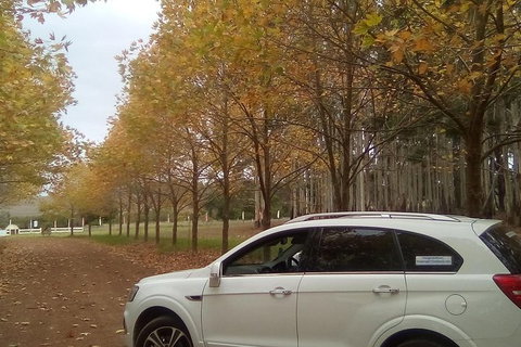 Customisable Wine Tour On A Budget For A Group Up To 6 People - Accommodation Brisbane 1