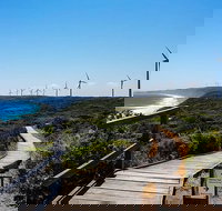 Torndirrup National Park and Bay Highlights - Accommodation Brisbane