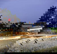 1 Day Private Phillip Island Tour VIP Charter up to 9 People - Accommodation Brisbane