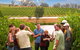 Yarra Valley Balloon Flight And Winery Tour - thumb 17