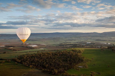 Yarra Valley Balloon Flight And Winery Tour - Accommodation Brisbane 12