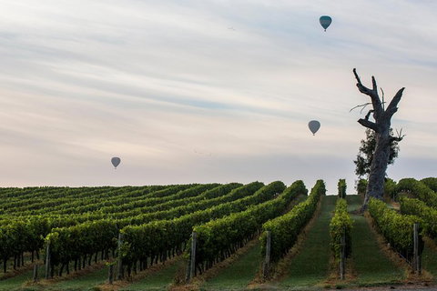 Yarra Valley Balloon Flight And Winery Tour - Accommodation Brisbane 19