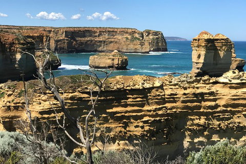 Great Ocean Road Reverse Itinerary Tour - Accommodation Brisbane 10