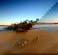 Phillip Island Ultimate Penguin Eco Tour or Skybox Experience - Accommodation Brisbane