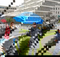 Rediscover Melbourne Tour - Accommodation Brisbane