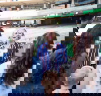 Melbourne Cricket Ground MCG Tour - Accommodation Brisbane