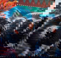 Fitzroy's Dark History  Hidden Bars - Accommodation Brisbane