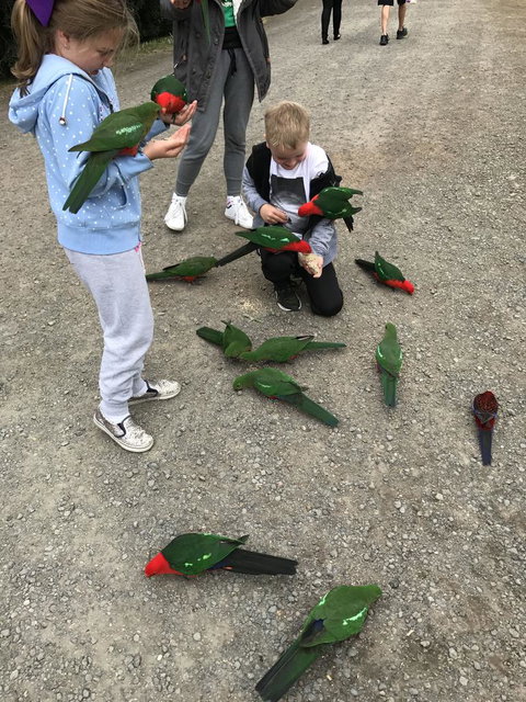 Full-Day Great Ocean Road And 12 Apostles Sunset Tour From Melbourne - Accommodation Brisbane 11